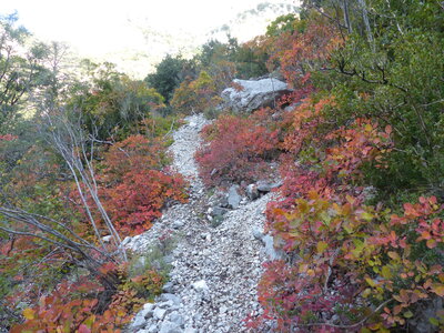 2021 10 14 Gorges du Verdon, 2021_10_14 Gorges du Verdon 154