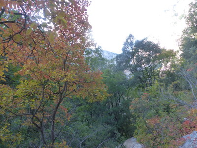 2021 10 14 Gorges du Verdon, 2021_10_14 Gorges du Verdon 155