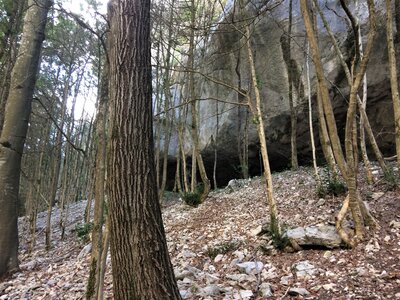 Verdon: sur le sentier de l'Imbut, IMG_8280