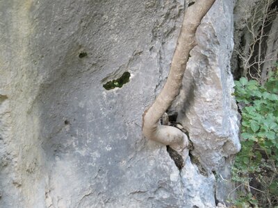 Verdon: Sentier Martel, IMG_7814