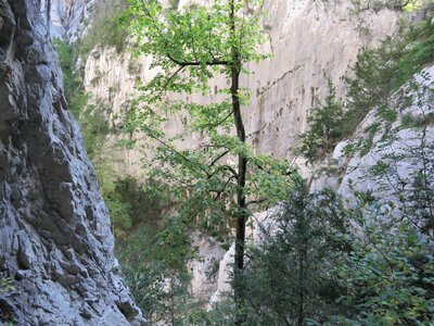 Verdon: Sentier Martel, IMG_7845