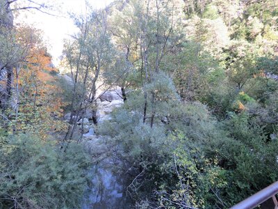 Verdon: Sentier Martel, IMG_7851