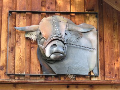 Bouicle Boscodon-St Jean, IMG_7863