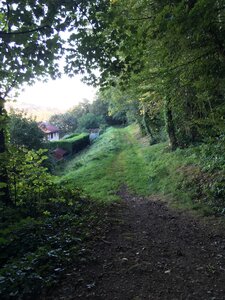 Bois d'Avaize, IMG_8150