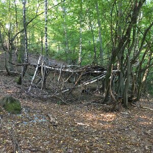 Bois d'Avaize, IMG_8141