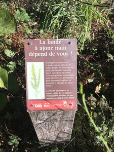 Bois d'Avaize, IMG_8127