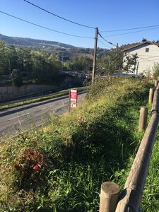 Bois d'Avaize, IMG_8114