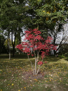 randonnée 17/10, _1080309