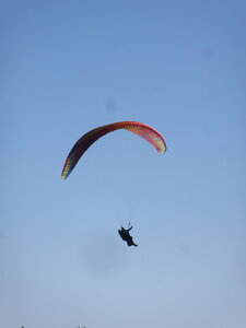 DIMANCHE 24 octobre, IMG_1854