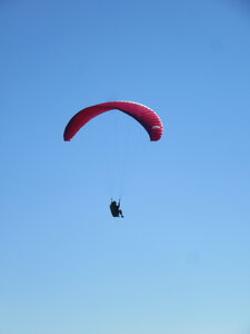 DIMANCHE 24 octobre, IMG_1849