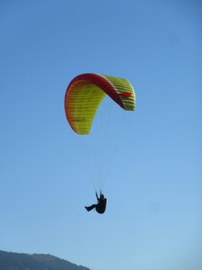 DIMANCHE 24 octobre, IMG_1838
