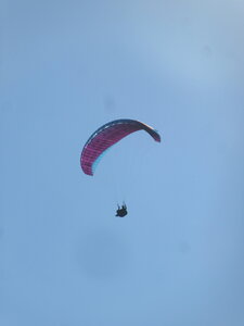 DIMANCHE 24 octobre, IMG_1825