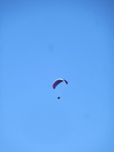 DIMANCHE 24 octobre, IMG_1808