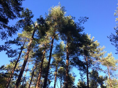 24-10-2021 VTT Mouki, IMG_0976