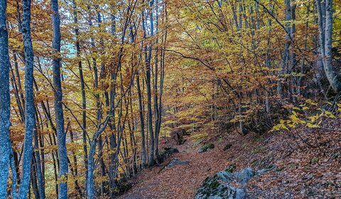 2021 10 26 Les Gourniers, 20211026_093735