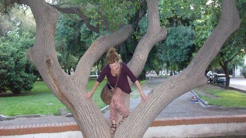 Argentina 2012 , image