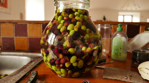 Les olives, P1210747