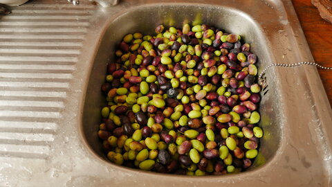 Les olives, P1210746