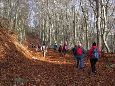 Rando chèvre , IMG_7917