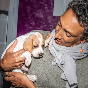 CHIOTS CALINE 30-31-oct , Chiots Caline oct21  2 