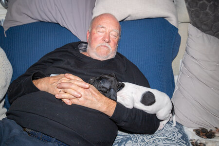 CHIOTS CALINE 30-31-oct , Chiots Caline oct21  131 