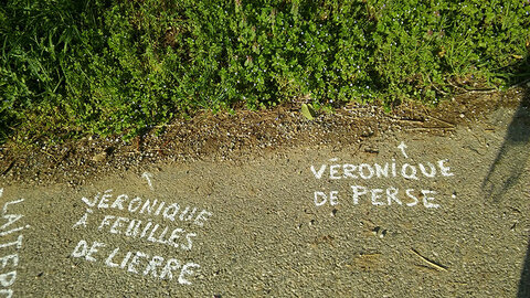 Cartographie, BB1604HteSavoie©FSoulardBD