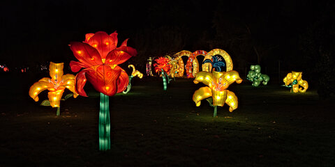 Lumières légendaires, _K1_3339