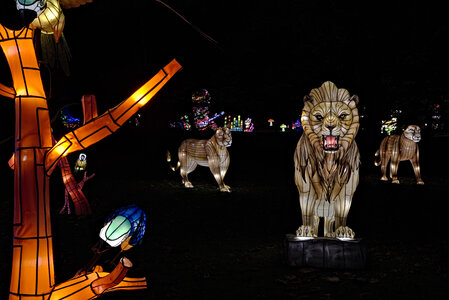 Lumières légendaires, _K1_3435