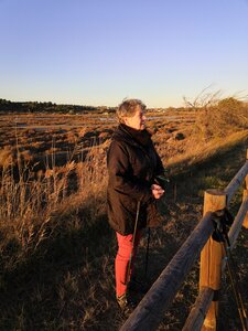2021 11 Sete, 2021_11_29 Etang de Thau 002