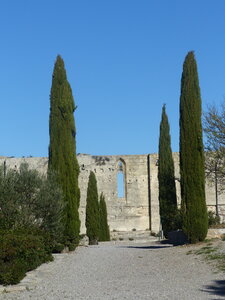2021 11 Sete, 2021_11_30 Abbaye St Felix de Montceau 142