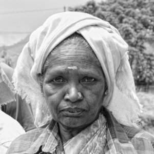 kérala by marck, IMG_1441
