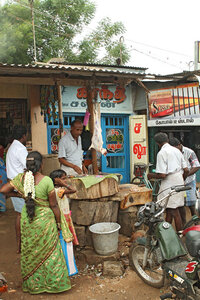 kérala by marck, IMG_2147