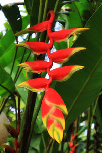kérala by marck, IMG_2507