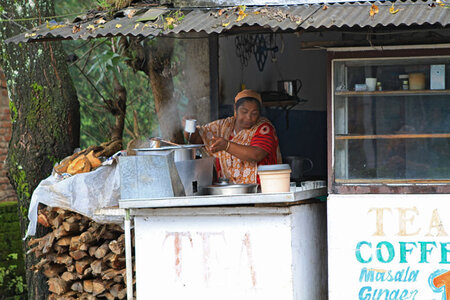kérala by marck, IMG_2532