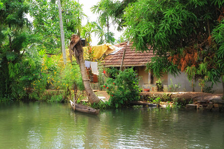 kérala by marck, IMG_2594