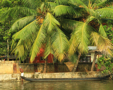 kérala by marck, IMG_2790