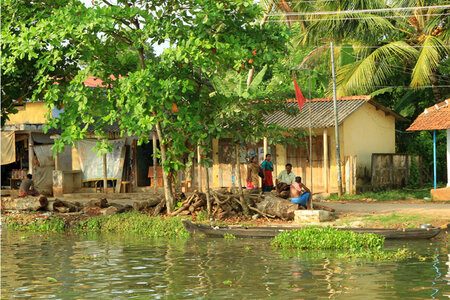 kérala by marck, IMG_2811