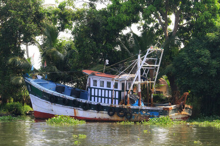 kérala by marck, IMG_2856