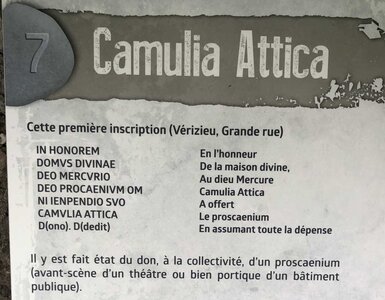 Arko, W01 - Briord - Inscription gallo-romaine de Camulia Attica 3