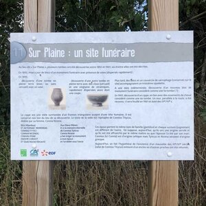 Arko, W01 - Briord - N&eacute;cropole et st&egrave;les fun&eacute;raires gallo-romaines 2