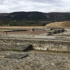 Arko, W07 - Alba la Romaine - Sanctuaire 14