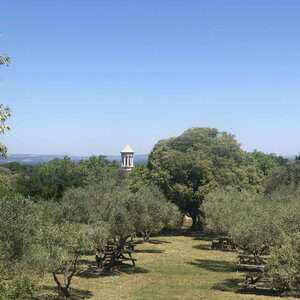 Arko, W13 - Saint-R&eacute;my-de-Provence - Glanum 79