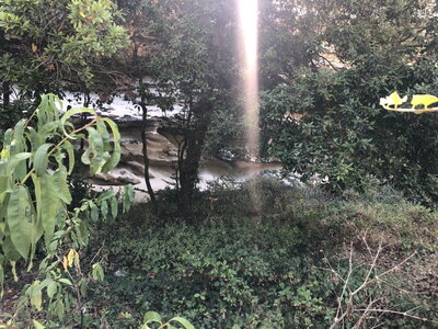 Arko, W20 - Corse - Bonifacio - Abri sous roche d&rsquo;Araguina Sennola 4