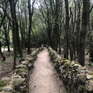 Arko, W20 - Corse - L&eacute;vie - Casteddu di Cucuruzzu 2