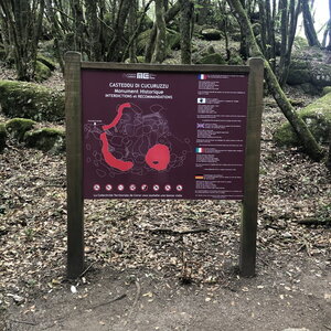 Arko, W20 - Corse - L&eacute;vie - Casteddu di Cucuruzzu 3