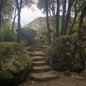 Arko, W20 - Corse - L&eacute;vie - Casteddu di Cucuruzzu 4