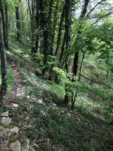 Arko, W38 - Hieres-sur-Amby - Site arch&eacute;ologique de Larina 51