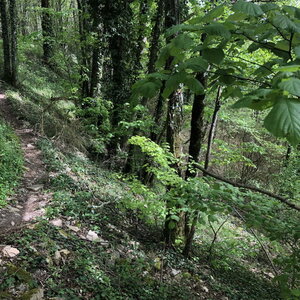 Arko, W38 - Hieres-sur-Amby - Site arch&eacute;ologique de Larina 52