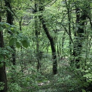 Arko, W38 - Hieres-sur-Amby - Site arch&eacute;ologique de Larina 53