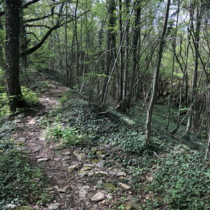 Arko, W38 - Hieres-sur-Amby - Site arch&eacute;ologique de Larina 54